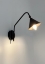 Black Metal Sconce